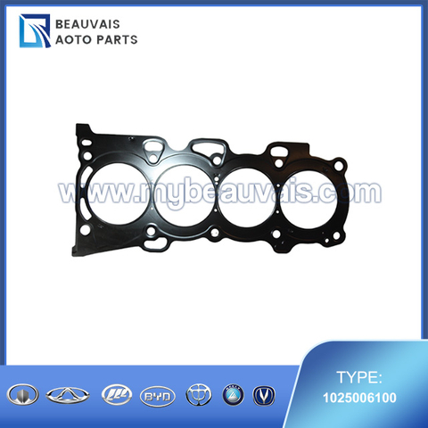 1025006100 CYLINDER GASKET 2.4