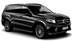 Mercedes GLS(2016 - 2019）x166