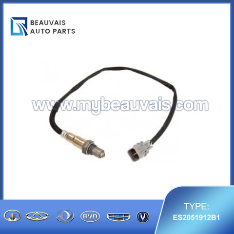 DELPHI ES2051912B1 Oxygen Sensor