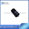 1017100XEC01 Oil filter H9