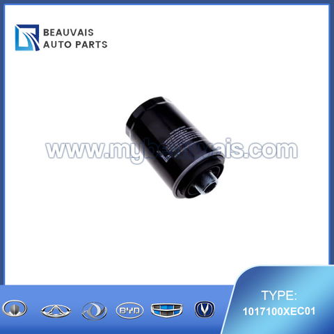 1017100XEC01 Oil filter H9