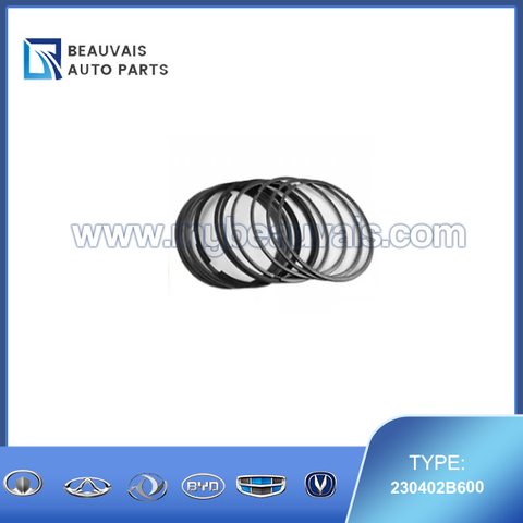 230402B600 Piston ring IX35