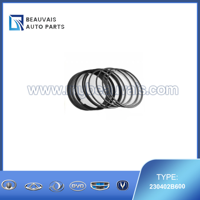 230402B600 Piston ring IX35