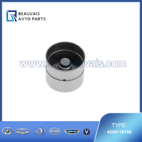 INA Tappet 4200118100