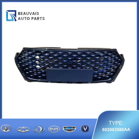 602003580AA Radiator grille S5