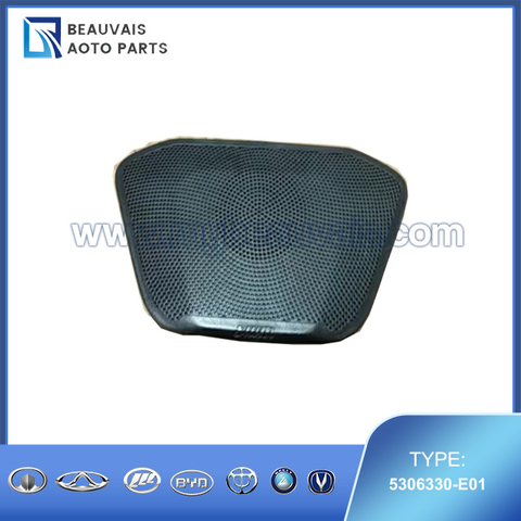 5306330-E01 Main instrument speaker cover assembly SWM