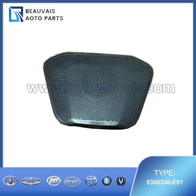 5306330-E01 Main instrument speaker cover assembly SWM