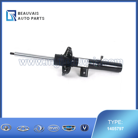 Left front shock absorber
