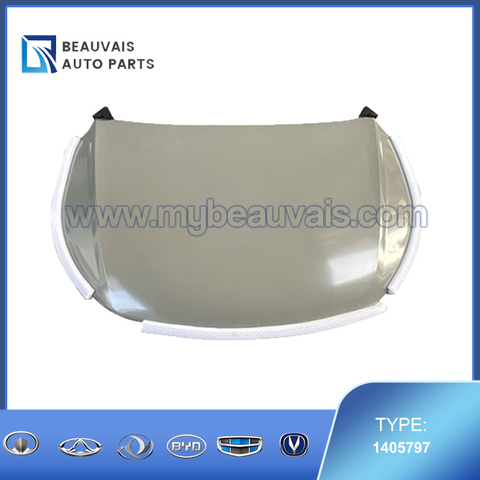 Hood body assembly