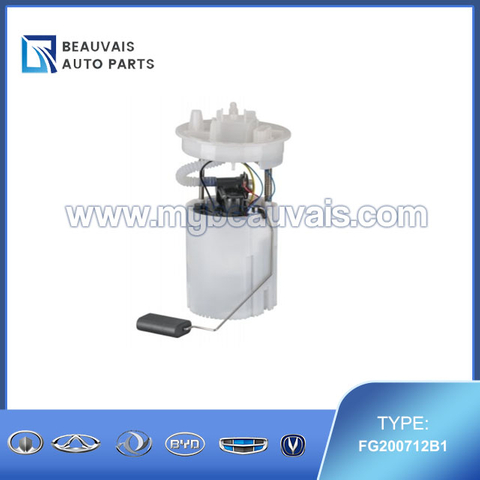 DELPHI FG200712B1 Fuel Pump