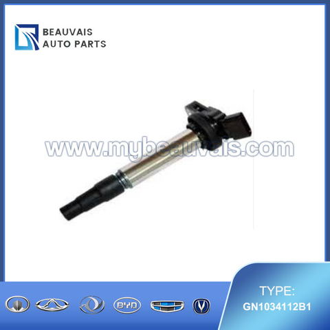 DELPHI GN1034112B1 Ignition Coil