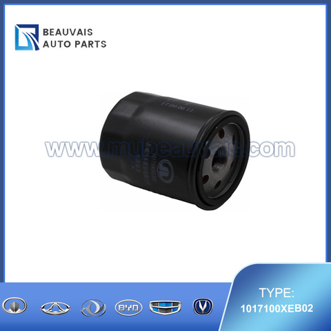 1017100XEB02 Oil filter Jolion