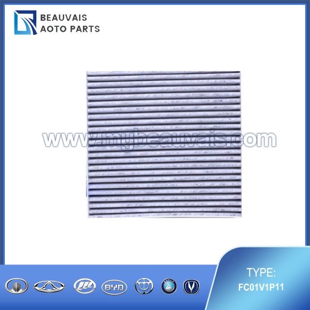FC01V1P11 Cabin filter (carbon) B70