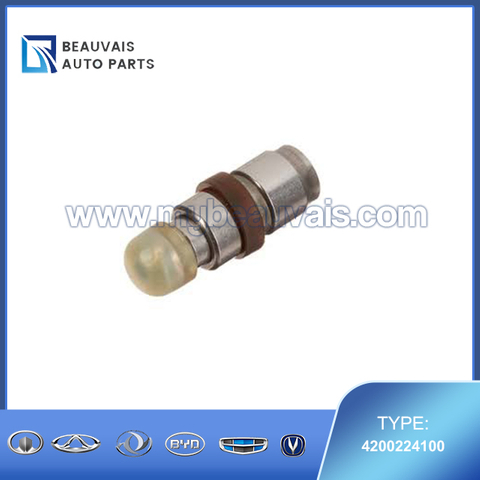 INA Tappet 4200224100