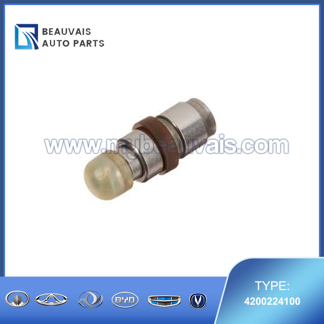 INA Tappet 4200224100