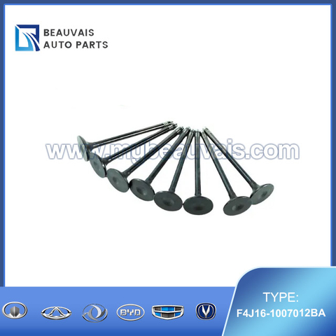 F4J16-1007012BA Exhaust valve C5