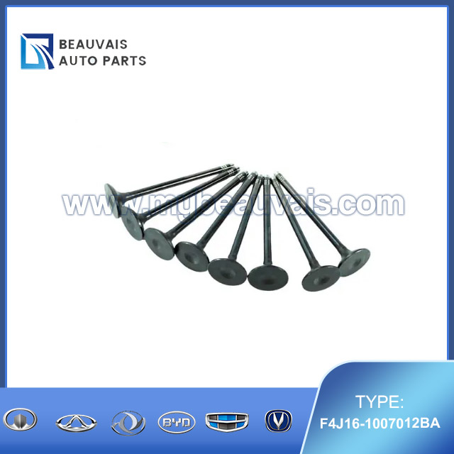 F4J16-1007012BA Exhaust valve C5