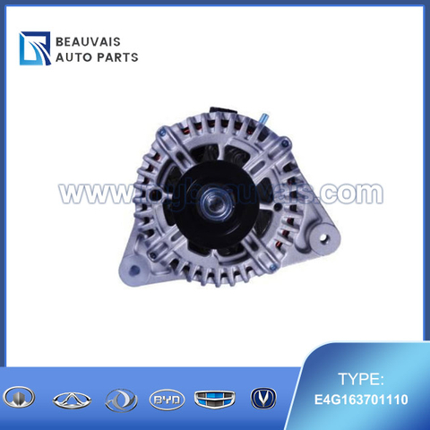 E4G163701110 Alternator Arrizo 7