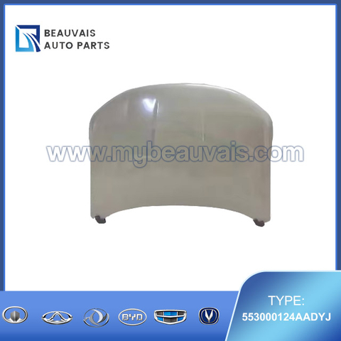 553000124AADYJ Hood Tiggo 7Pro Max