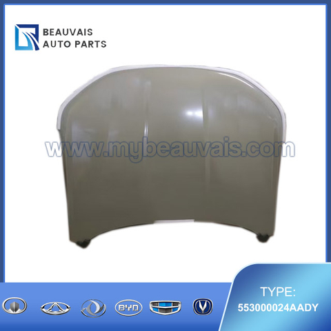 553000024AADY Hood Tiggo 7 Pro