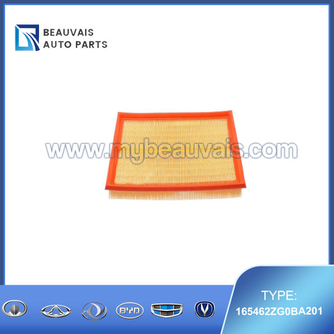 165462ZG0BA201 Air filter DF6