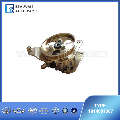 1014001307P/S PUMP