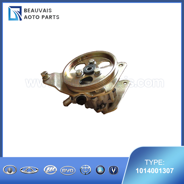 1014001307P/S PUMP