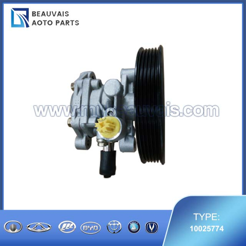 10025774 P/S PUMP