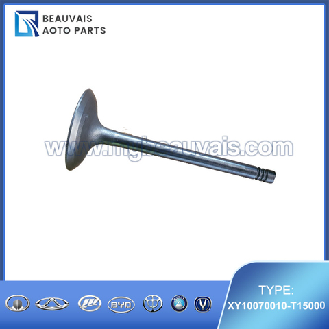 XY10070010-T15000 Intake valve SWM