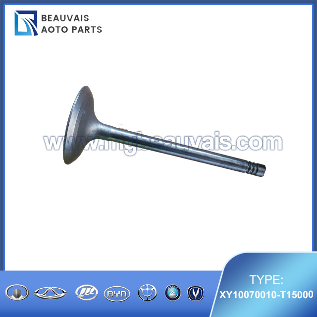 XY10070010-T15000 Intake valve SWM