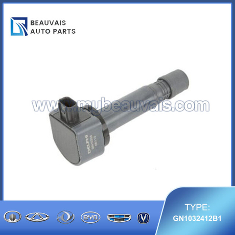 DELPHI GN1032412B1 Ignition Coil