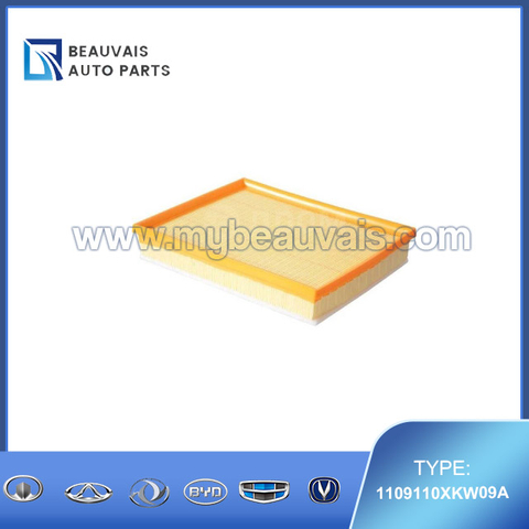 1109110XKW09A Air filter(diesel engine) H9