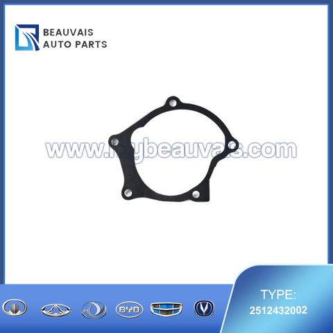 2512432002 Water pump gasket ELANTRA