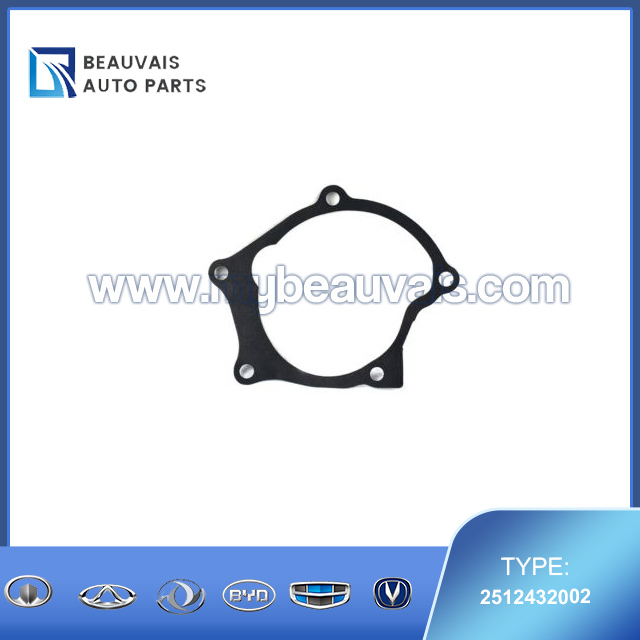 2512432002 Water pump gasket ELANTRA