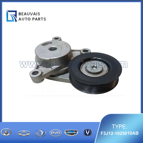 F3J12-1025010AB Tensioner C5