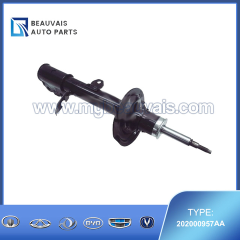 202000957AA Left front shock absorber C5