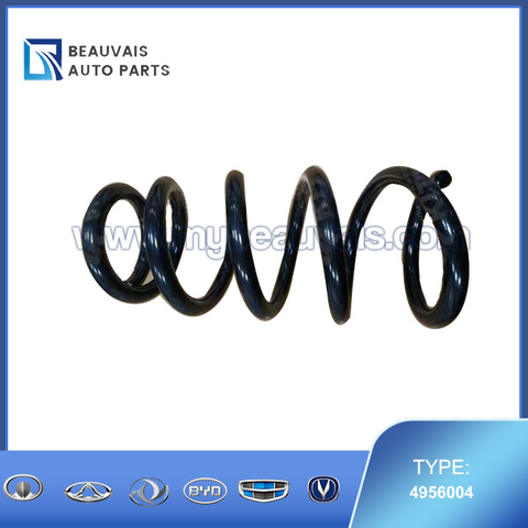 4956004 Rear suspension spring AX7