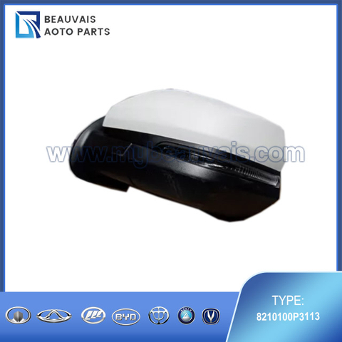 8210100P3113 Left rearview mirror T6