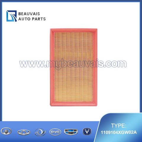 1109104XGW02A Air filter Jolion