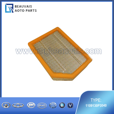 1109130P3040 Air filter T6
