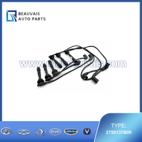 2750137B00 Cable set-spark plug SANTAFE