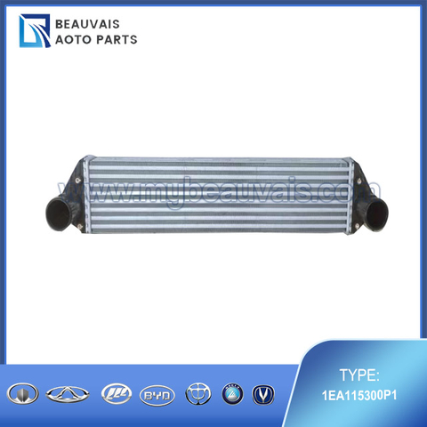 1EA115300P1 Fuel filter T77