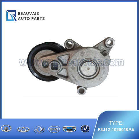 F3J12-1025010AB Tensioner C5