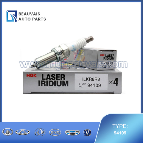 NGK 94109 spark plugs