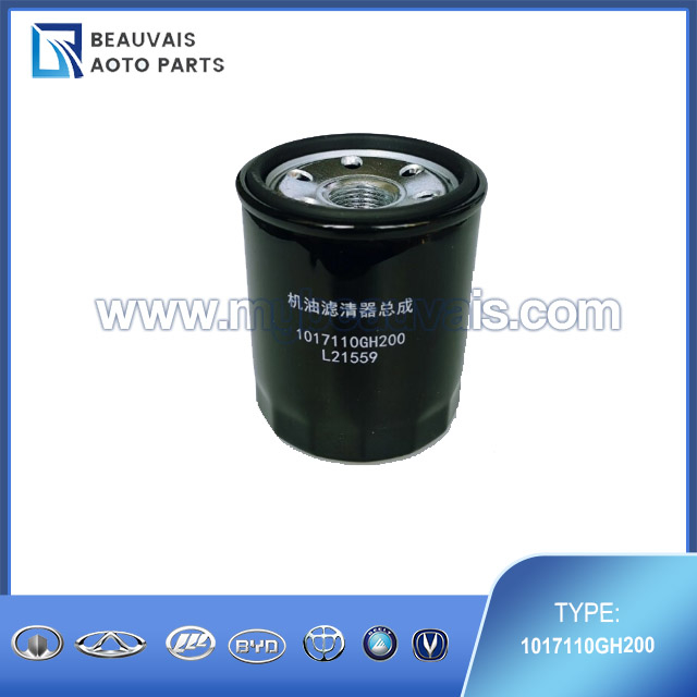 1017110GH200 Oil filter JS6