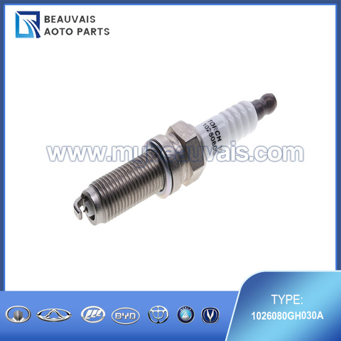 1026080GH030A Spark plug JS6