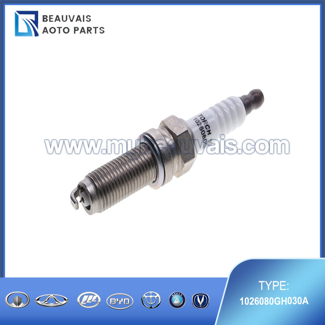1026080GH030A Spark plug JS6