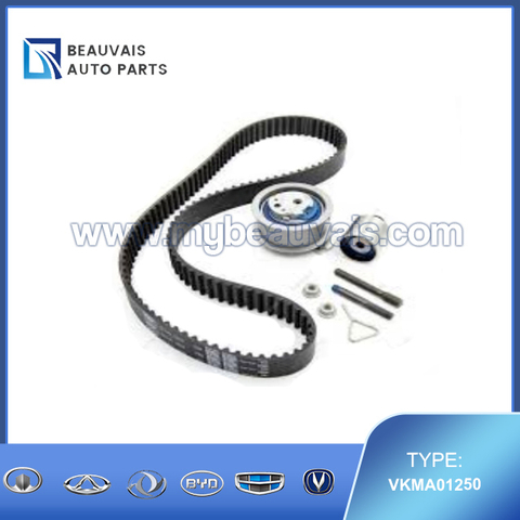 VKMA01250 Timing kit A4(B7)