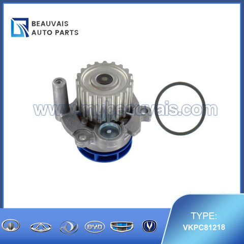 VKPC81218 Cooling system pump A4(B7)