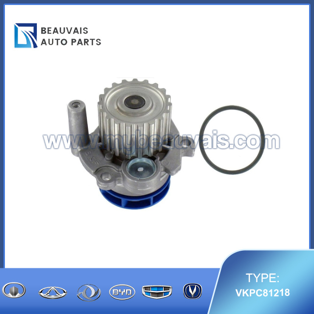 VKPC81218 Cooling system pump A4(B7)